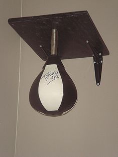 235px-Speed_bag