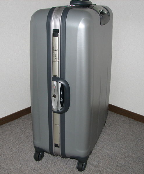 495px-Suitcase1