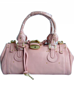 chloe_choleSatchel031